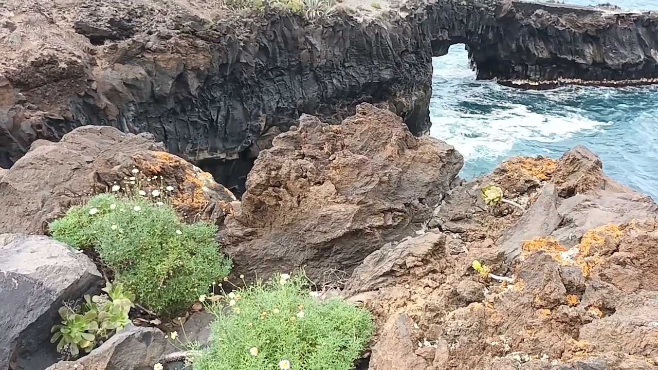 Video 1
