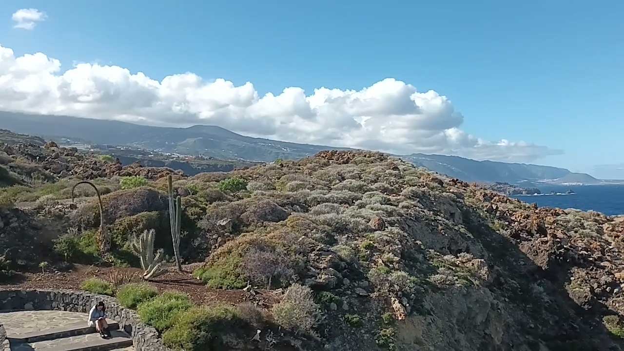 Video 2